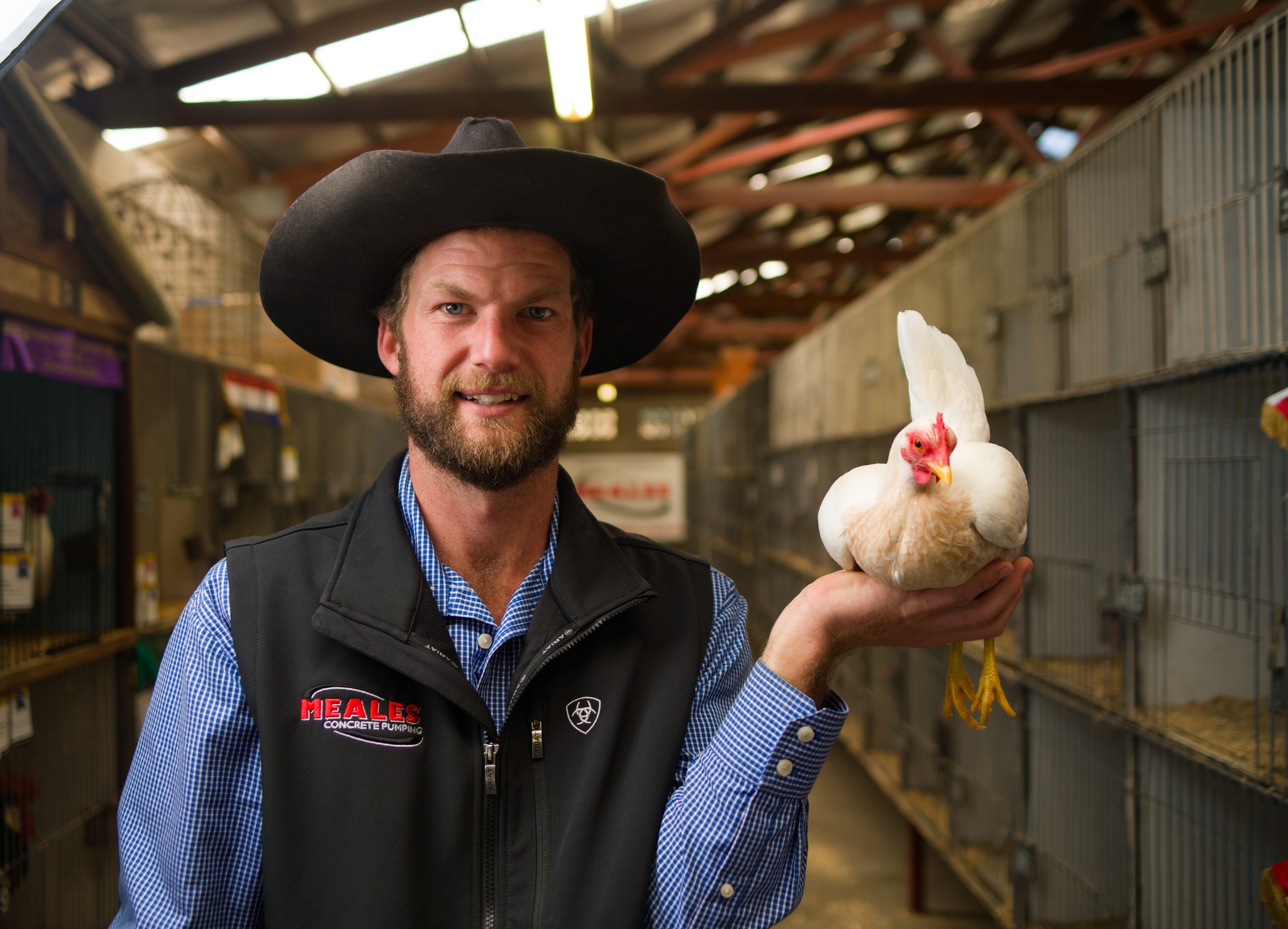 We love our birds and want to give you some information regarding the H5 bird flu. Signs of bird flu include: Sudden death Lack of coordination, tremo…