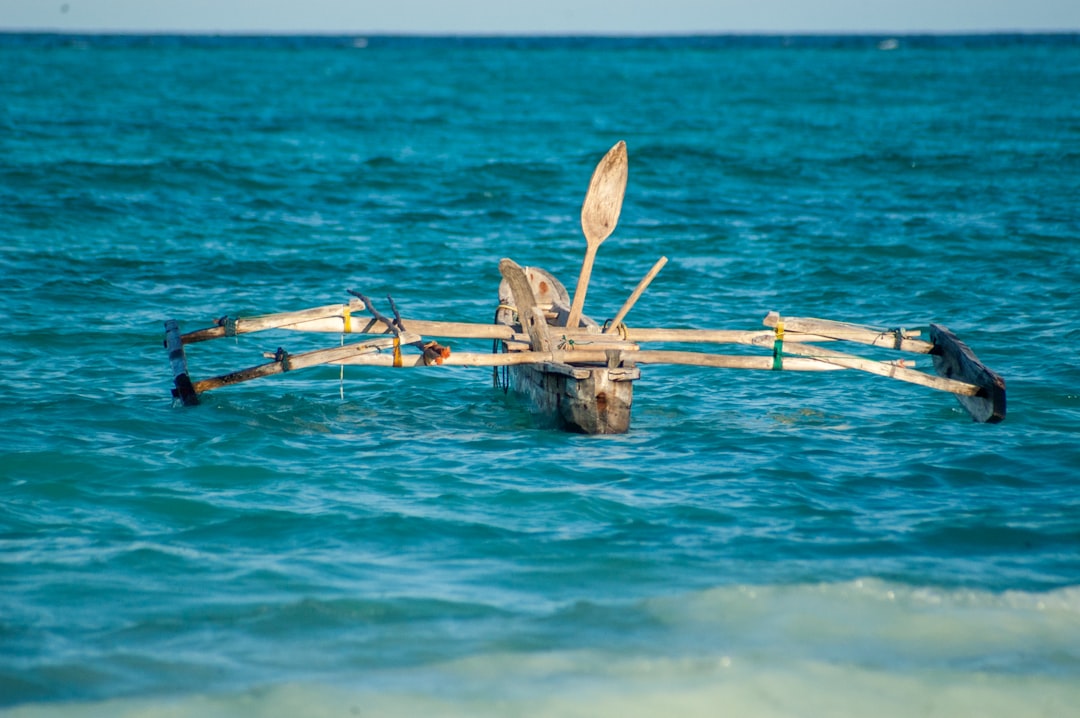 Boats, pots, and prehistoric know-how this week at Southeast Asian Archaeology.⠀
⠀
In the new newsletter:⠀
🛶 outrigger boat motifs in Sulawesi rock art⠀
🏺 new perspectives on pottery in Timor-Leste⠀
👑 the restored Nguyen Dynasty throne⠀
🎟️ falling ticket sales at Angkor⠀
⚖️ a new book on archaeology and Philippine law⠀
⠀
#Archaeology #SoutheastAsia #Heritage #RockArt #TimorLeste #Indonesia Boats, pots, and prehistoric know-how this week at Southeast Asian Archaeology.⠀
⠀
In the new newsletter:⠀
🛶 outrigger boat motifs in Sulawesi rock art⠀
🏺 new perspectives on pottery in Timor-Leste⠀
👑 the restored Nguyen Dynasty throne⠀
🎟️ falling ticket sales at Angkor⠀
⚖️ a new book on archaeology and Philippine law⠀
⠀
#Archaeology #SoutheastAsia #Heritage #RockArt #TimorLeste #Indonesia